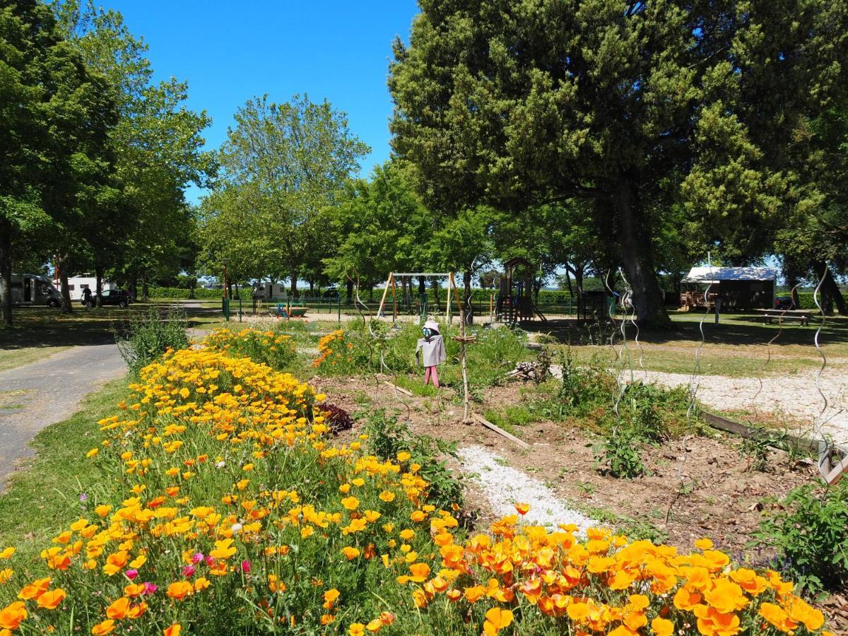 Camping Le Sorlut Cozes Esterno foto